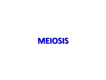 MEIOSIS. Meiosis cell divisiongametes, half chromosomes, The form of cell division by which gametes, with half the number of chromosomes, are produced.