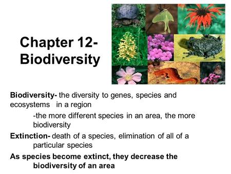 Chapter 12- Biodiversity