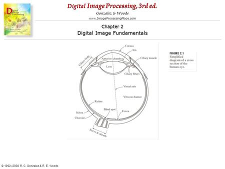 Digital Image Processing, 3rd ed. www.ImageProcessingPlace.com © 1992–2008 R. C. Gonzalez & R. E. Woods Gonzalez & Woods Chapter 2 Digital Image Fundamentals.