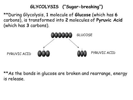 GLYCOLYSIS (“Sugar-breaking”)