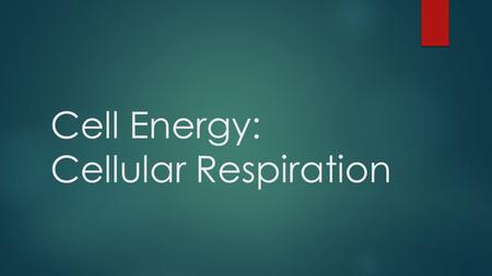 Cell Energy: Cellular Respiration