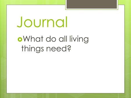 Journal  What do all living things need?. Journal  How do living things acquire energy?