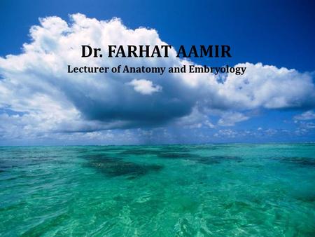 Dr. FARHAT AAMIR Lecturer of Anatomy and Embryology.