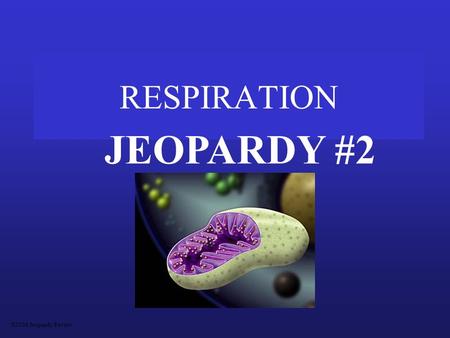 RESPIRATION JEOPARDY #2 S2C06 Jeopardy Review Diagrams Aerobic vs AnaerobicMoleculesPathwaysMiscellaneous 200 400 600 800 1000.