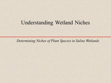Understanding Wetland Niches Determining Niches of Plant Species in Saline Wetlands.