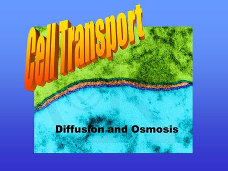 Diffusion and Osmosis Transport- Passive or Active Passive transport-the movement of materials across a cell membrane without the expenditure of cell.