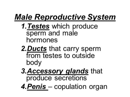 Male Reproductive System 1.Testes which produce sperm and male hormones 2.Ducts that carry sperm from testes to outside body 3.Accessory glands that produce.
