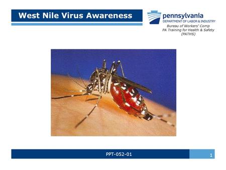 West Nile Virus Awareness PPT-052-01 Bureau of Workers’ Comp PA Training for Health & Safety (PATHS) 1.
