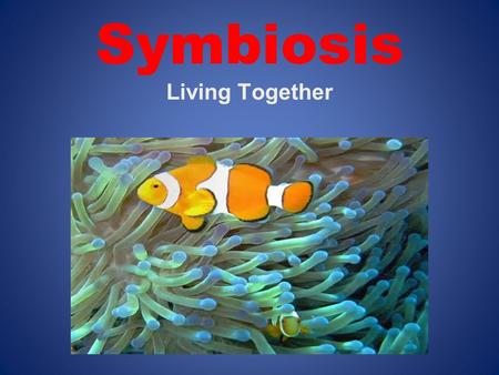 Symbiosis Living Together
