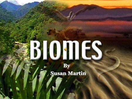 By Susan Martin Biology Standard Standard 5.0 - The student will investigate the diversity of organisms by analyzing taxonomic systems, exploring diverse.