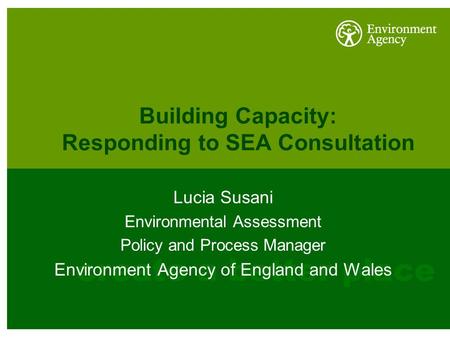 Building Capacity: Responding to SEA Consultation Lucia Susani Environmental Assessment Policy and Process Manager Environment Agency of England and Wales.