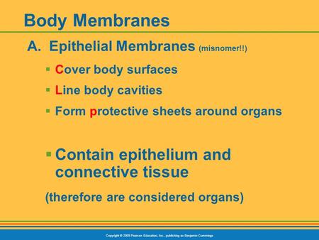 Copyright © 2009 Pearson Education, Inc., publishing as Benjamin Cummings Body Membranes A. Epithelial Membranes (misnomer!!)  Cover body surfaces  Line.