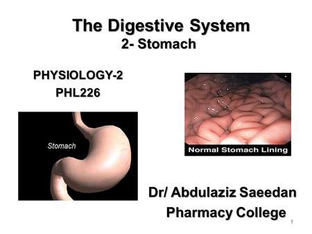 The Digestive System 2- Stomach The Digestive System 2- Stomach PHYSIOLOGY-2PHL226 1 Dr/ Abdulaziz Saeedan Pharmacy College Pharmacy College.