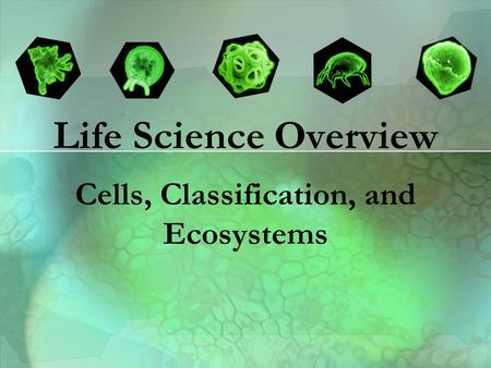 Life Science Overview Cells, Classification, and Ecosystems.