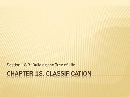 Section 18-3: Building the Tree of Life.  In Linneaus’s time organisms were either plants or animals  Animals moved from place to place, used food 