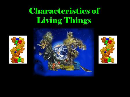 Characteristics of Living Things. What is Biology? Biology  the study of living things Bio = Life ology = study of Living things are classified into.