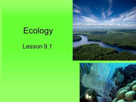 Ecology Lesson 9.1. Lesson Objectives Distinguish between abiotic and biotic factors. Describe ecological levels of organization in the biosphere. Define.