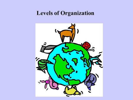 Levels of Organization. All living things are placed into 6 kingdoms. They are: Archaebacteria Eubacteria Protista Fungi Plantae Animalia.