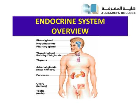ENDOCRINE SYSTEM OVERVIEW. Objectives Understanding the common aspects of neural and endocrinal regulations. Describing the chemical nature of hormones.