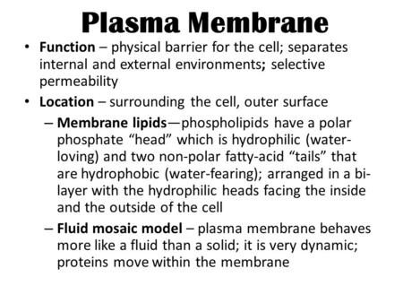 Plasma Membrane Function – physical barrier for the cell; separates internal and external environments; selective permeability Location – surrounding the.