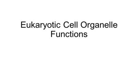 Eukaryotic Cell Organelle Functions. Cell Membrane Determines what goes in and out of the cell. Protects and supports cell.