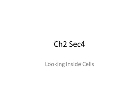 Ch2 Sec4 Looking Inside Cells. Key Concepts What role do the cell wall and cell membrane play in the cell? What are the functions of cell organelles?