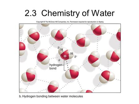 2.3 Chemistry of Water. Properties of Water Water has a high heat capacity.