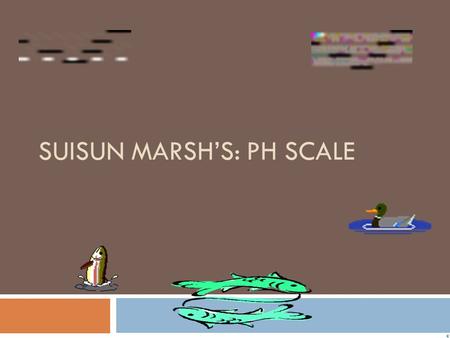 SUISUN MARSH’S: pH scale