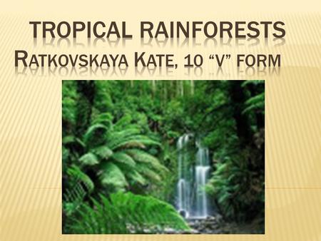  Tropical rainforests grow in the hot, humid places near the Equator. The plants and trees in the rainforest grow to different heights.