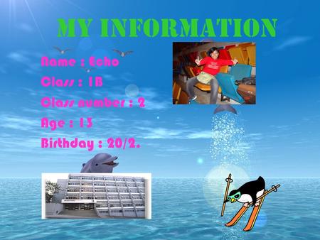 Name : Echo Class : 1B Class number : 2 Age : 13 Birthday : 20/2. My information.