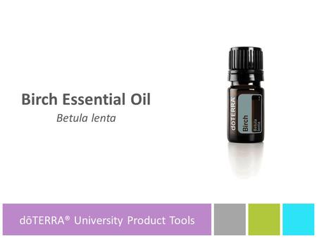 Birch Essential Oil Betula lenta dōTERRA® Product Tools dōTERRA® University Product Tools.