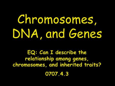 Chromosomes, DNA, and Genes EQ: Can I describe the relationship among genes, chromosomes, and inherited traits? 0707.4.3.