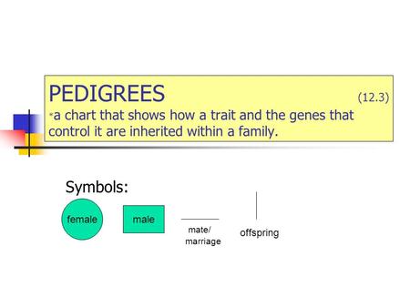 PEDIGREES (12.3) * a chart that shows how a trait and the genes that control it are inherited within a family. Symbols: female male mate/ marriage offspring.