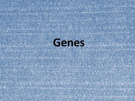 Genes. Key Vocabulary – Define these terms using your notes page 16. 1.External fertilization6. Genotype 2.Internal fertilization 7. Phenotype 3.Gene.