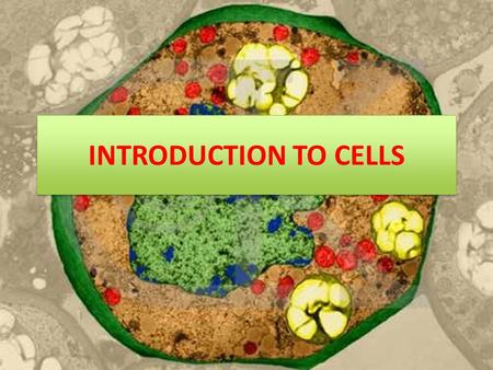 INTRODUCTION TO CELLS.
