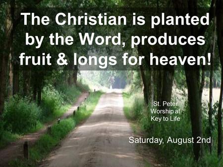 The Christian is planted by the Word, produces fruit & longs for heaven! St. Peter Worship at Key to Life Saturday, August 2nd.