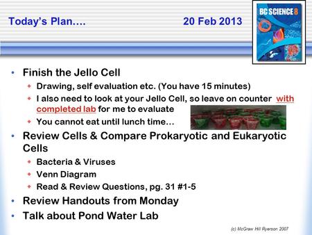 Today’s Plan…. 20 Feb 2013 Finish the Jello Cell  Drawing, self evaluation etc. (You have 15 minutes)  I also need to look at your Jello Cell, so leave.