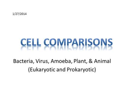 Bacteria, Virus, Amoeba, Plant, & Animal (Eukaryotic and Prokaryotic) 1/27/2014.