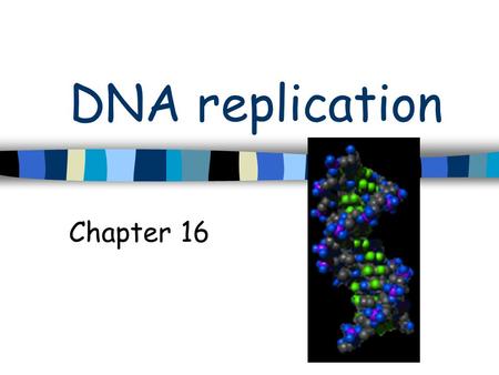 DNA replication Chapter 16. Summary of history Griffith Mice & Strep Transformation External DNA taken in by cell.