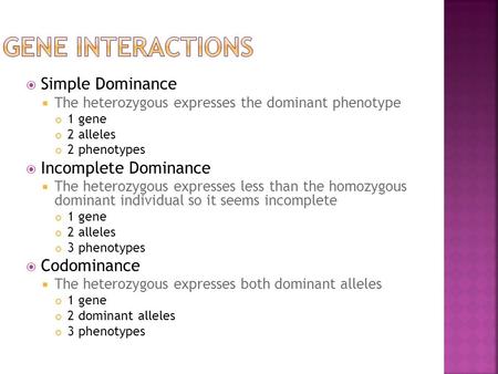 Simple Dominance  The heterozygous expresses the dominant phenotype 1 gene 2 alleles 2 phenotypes  Incomplete Dominance  The heterozygous expresses.