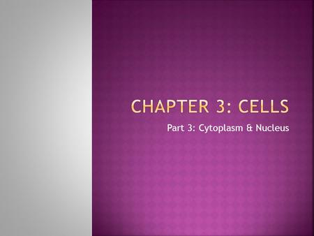 Part 3: Cytoplasm & Nucleus. Cells 8) Describe briefly the process of DNA replication and of mitosis. Explain the importance of mitotic cell division.