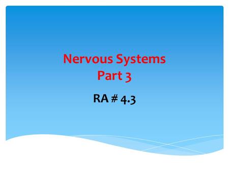 Nervous Systems Part 3 RA # 4.3. What is a synapse?  Gaps between neurons or between neurons and effectors.