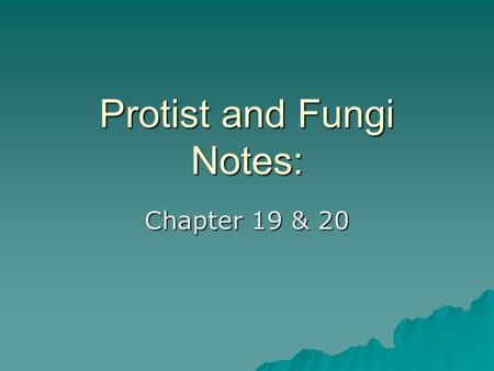 Protist and Fungi Notes: Chapter 19 & 20. 6 Kingdoms Archaebacteria Archaebacteria Eubacteria Eubacteria  Protist  Fungi  Plant  Animal.