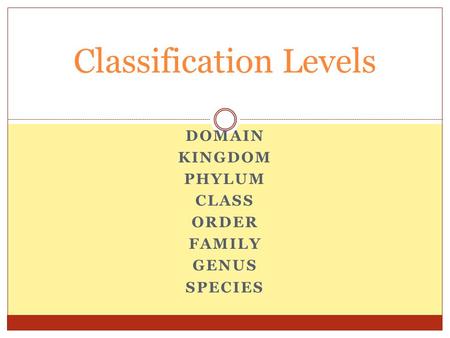 DOMAIN KINGDOM PHYLUM CLASS ORDER FAMILY GENUS SPECIES Classification Levels.