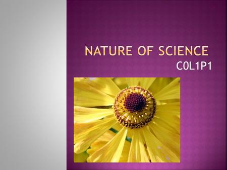 Nature of Science C0L1P1.