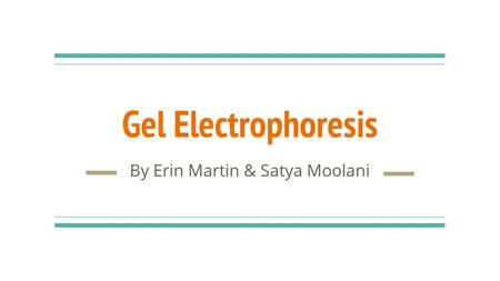 Gel Electrophoresis By Erin Martin & Satya Moolani.