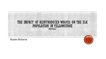 The impact of reintroduced wolves on the elk population in Yellowstone (proposal) Hunter Roberts.