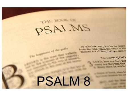 PSALM 8 PSALM 1 Martin Luther; James Boice