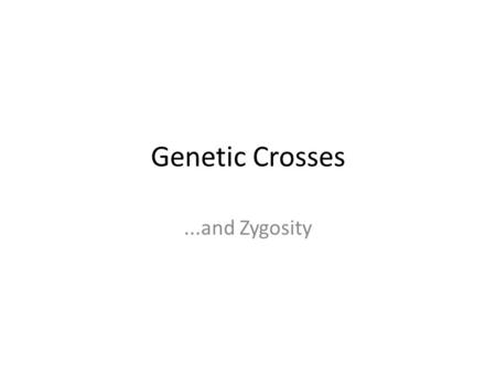 Genetic Crosses...and Zygosity. Heterozygous: Having two DIFFERENT alleles for a trait. Homozygous: Having two of the SAME allele for a trait.