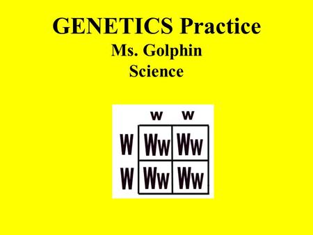 GENETICS Practice Ms. Golphin Science What is a Punnett Square? Punnett square: a diagram that is used to predict the genotypes and phenotypes of an.